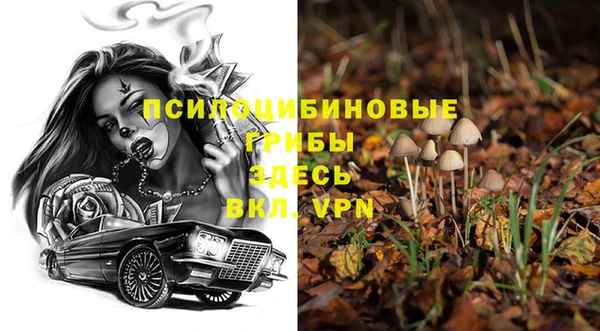 прущие крисы Няндома