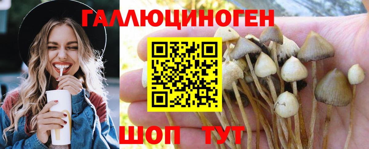 Галлюциногенные грибы Magic Shrooms  Галлюциногенные грибы Magic Shrooms  Аргун  Вход с VPN 