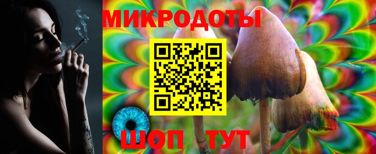 Галлюциногенные грибы мицелий Аргун