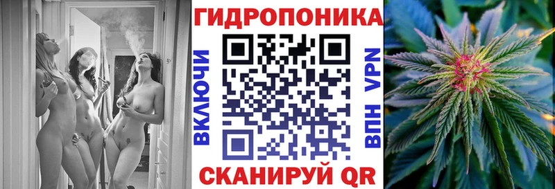 цены Аргун Бошки Шишки Bruce Banner