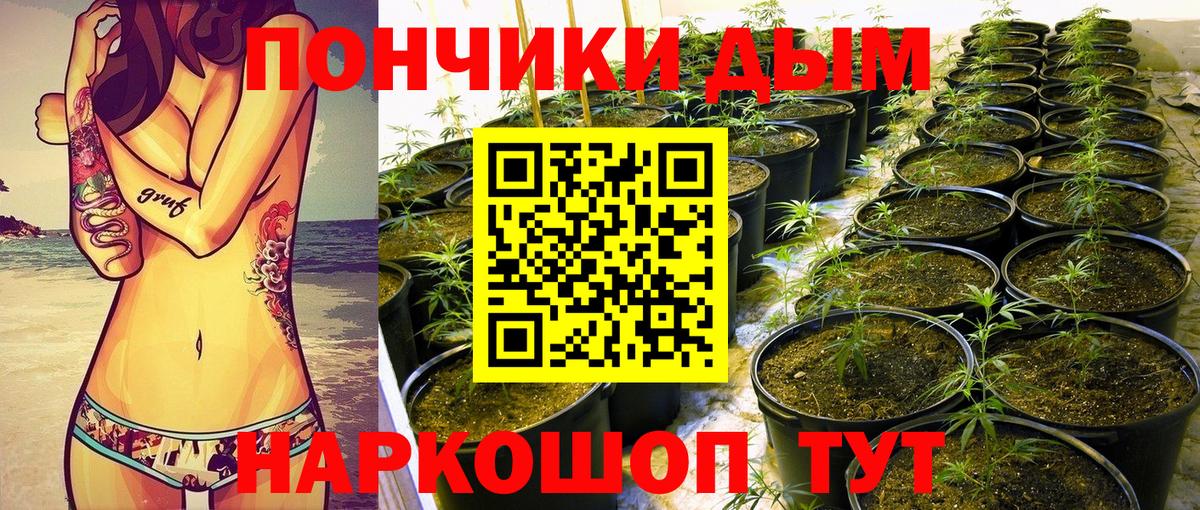 Codein  Аргун  Alpha PVP СК   ГАШИШ  Бошки Шишки  Меф  